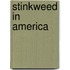 Stinkweed in america