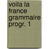 Voila la france grammaire progr. 1