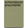 Schemalezen pneumatiek door Vinke