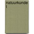 Natuurkunde t
