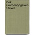 Look examenopgaven c level