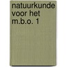 Natuurkunde voor het m.b.o. 1 door Kleintjes