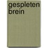 Gespleten brein