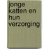 Jonge katten en hun verzorging