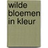 Wilde bloemen in kleur