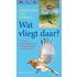 Wat vliegt daar?