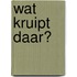 Wat kruipt daar?