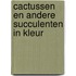 Cactussen en andere succulenten in kleur