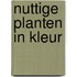 Nuttige planten in kleur