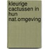 Kleurige cactussen in hun nat.omgeving