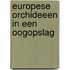 Europese orchideeen in een oogopslag