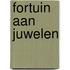 Fortuin aan juwelen