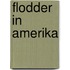 Flodder in amerika
