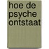 Hoe de psyche ontstaat