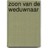 Zoon van de weduwnaar