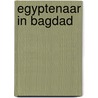 Egyptenaar in bagdad door Amitav Ghosh