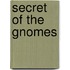 Secret of the gnomes