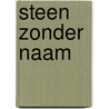 Steen zonder naam door Huygen