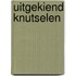 Uitgekiend knutselen