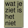 Wat je ziet is het niet door Thomas S. Jones