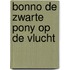 Bonno de zwarte pony op de vlucht