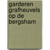 Garderen grafheuvels op de bergsham door Hulst