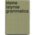 Kleine latynse grammatica