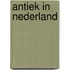 Antiek in nederland