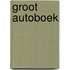 Groot autoboek