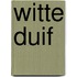 Witte duif