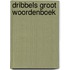 Dribbels groot woordenboek