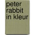 Peter rabbit in kleur
