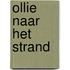 Ollie naar het strand