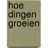 Hoe dingen groeien