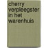 Cherry verpleegster in het warenhuis