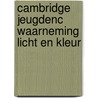 Cambridge jeugdenc waarneming licht en kleur door Onbekend