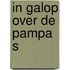 In galop over de pampa s