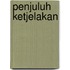 Penjuluh ketjelakan