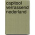 Capitool Verrassend Nederland