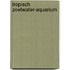 Tropisch zoetwater-aquarium
