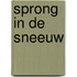 Sprong in de sneeuw