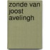 Zonde van joost avelingh
