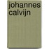Johannes Calvijn