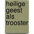 Heilige geest als trooster