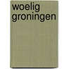 Woelig Groningen door B. Hofman