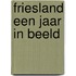 Friesland een jaar in beeld