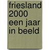 Friesland 2000 een jaar in beeld door Onbekend