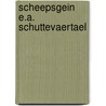 Scheepsgein e.a. schuttevaertael door Wessum