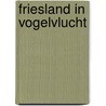 Friesland in vogelvlucht by Unknown