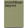 Onzichtbaar labyrint door Vries